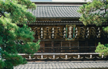 Tuyi Group Japan Co., Ltd.6