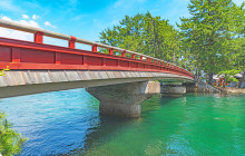 Tuyi Group Japan Co., Ltd.10