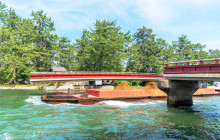 Tuyi Group Japan Co., Ltd.12