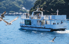 Tuyi Group Japan Co., Ltd.13