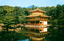 Tuyi Group Japan Co., Ltd.2