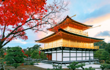 Tuyi Group Japan Co., Ltd.3