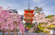 Tuyi Group Japan Co., Ltd.7