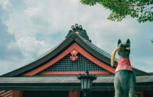 Tuyi Group Japan Co., Ltd.10