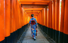 Tuyi Group Japan Co., Ltd.11