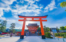 Tuyi Group Japan Co., Ltd.12