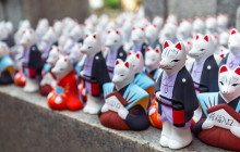 Tuyi Group Japan Co., Ltd.13