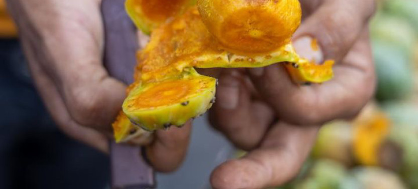 Evening Street Food Tour