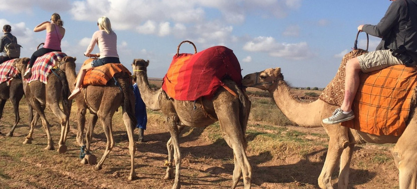 High Atlas Day Trip and Lunch