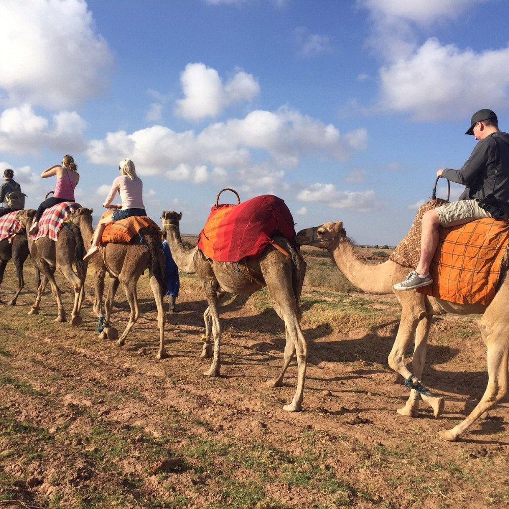 High Atlas Day Trip and Lunch