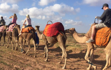 Moroccan Food and Family Adventures14