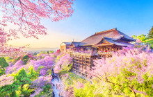 Tuyi Group Japan Co., Ltd.13