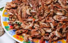 Moroccan Food and Family Adventures16