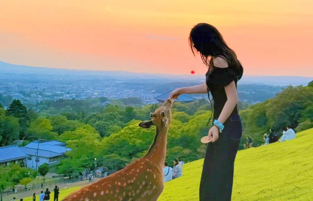 Literary and Artistic Tour - Nara and Uji Hot Spring Day Tour