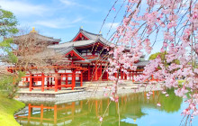 Tuyi Group Japan Co., Ltd.2