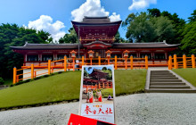 Tuyi Group Japan Co., Ltd.4