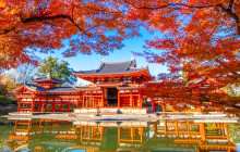 Tuyi Group Japan Co., Ltd.14