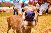 Tuyi Group Japan Co., Ltd.15