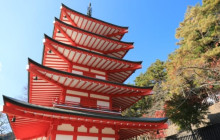 Tuyi Group Japan Co., Ltd.11