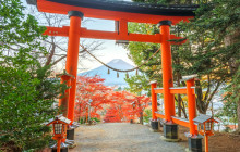 Tuyi Group Japan Co., Ltd.12