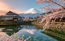 Tuyi Group Japan Co., Ltd.15