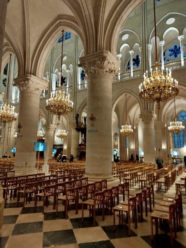 Guided tour of Ile de la Cité and Notre Dame