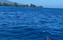 Tahiti by Boat14
