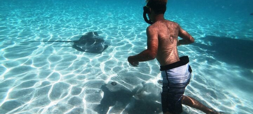 Shared respectful Whale Tour,country French Polynesia