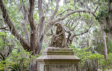 Gray Line Savannah10