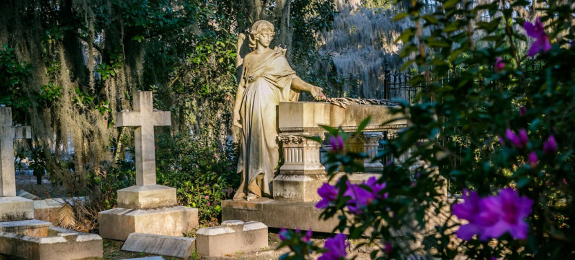 Wormsloe Plantation & Bonaventure Cemetery with Lunch