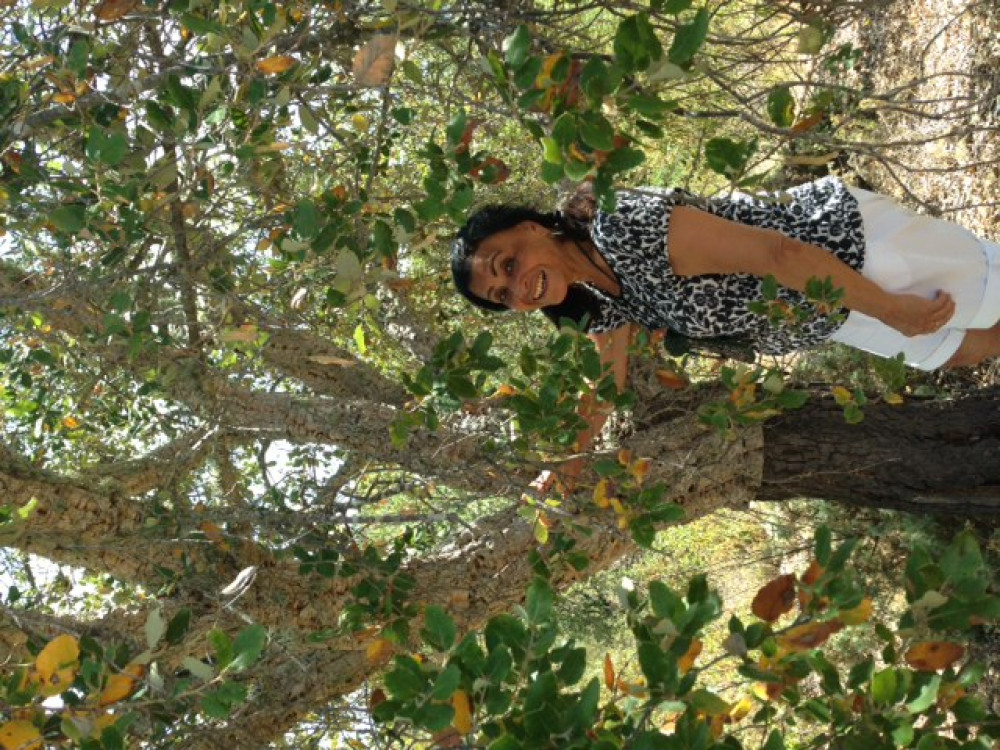 Half Day Algarve Private Jeep Safari