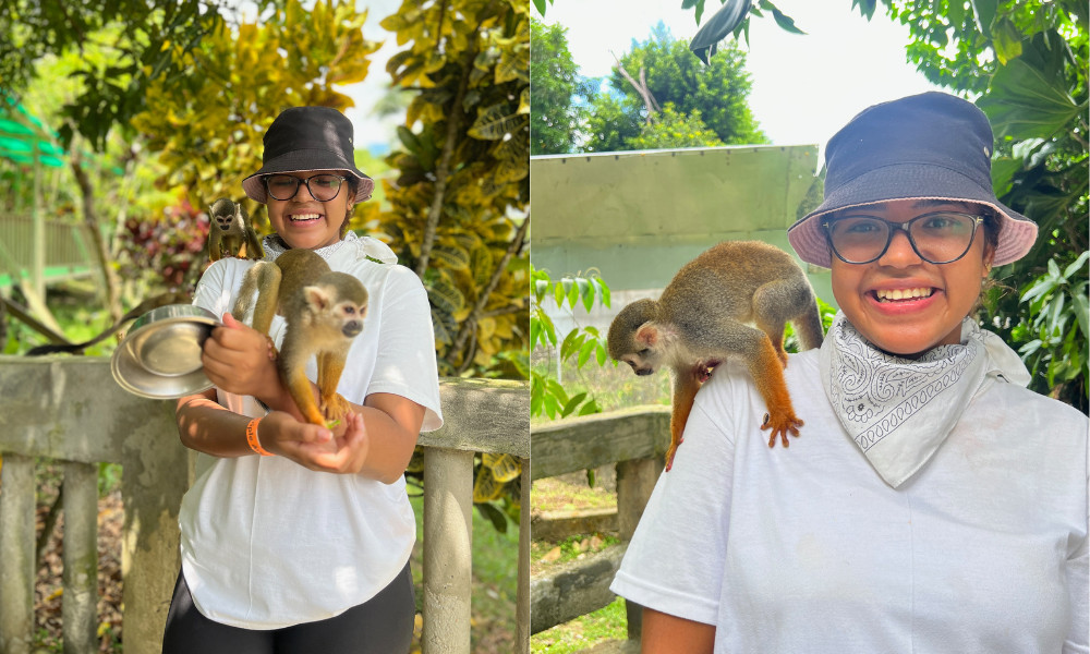 Combo Jungle Buggies, Casa del Coco, & Monkeyland
