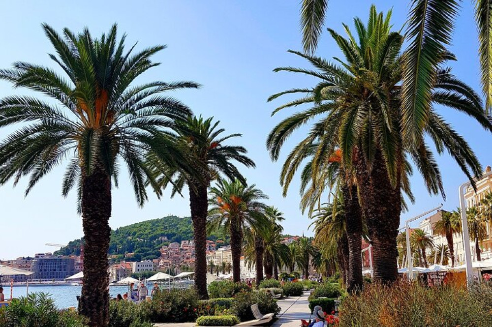 Dubrovnik Trips