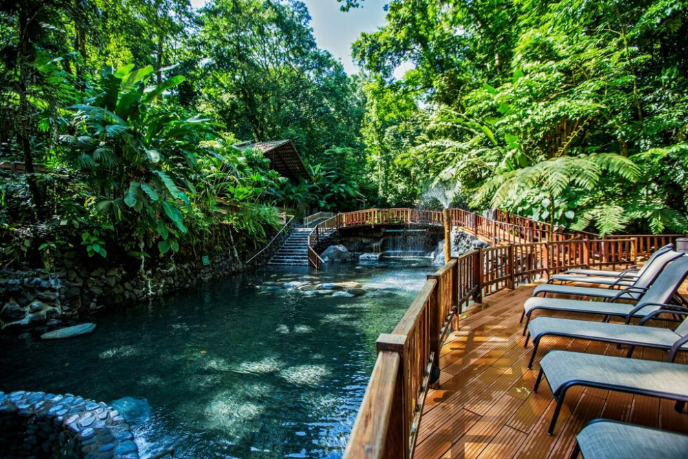 Rainforest Falls, Volcano Hike, Ecotermales and Dinner