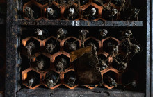 Eating Europe Food Tours - Amsterdam4