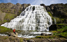 Arctic Shorex10