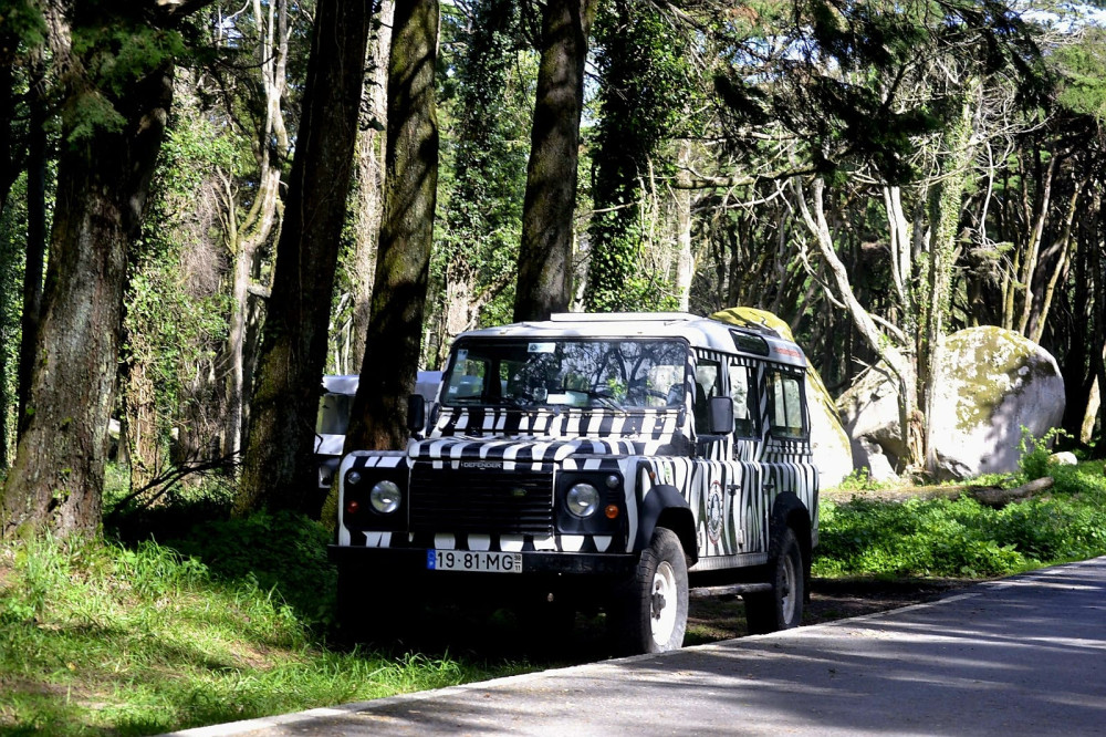 Sintra Arbez Zebra Safari With Pena Palace - Full Day