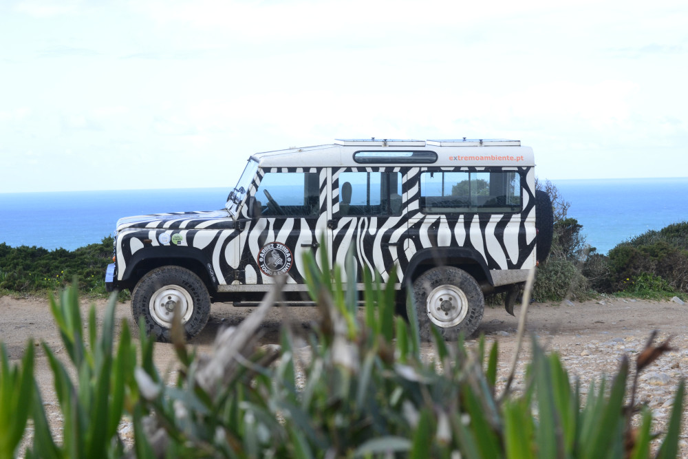 Sintra Arbez Zebra Jeep Safari - Half Day