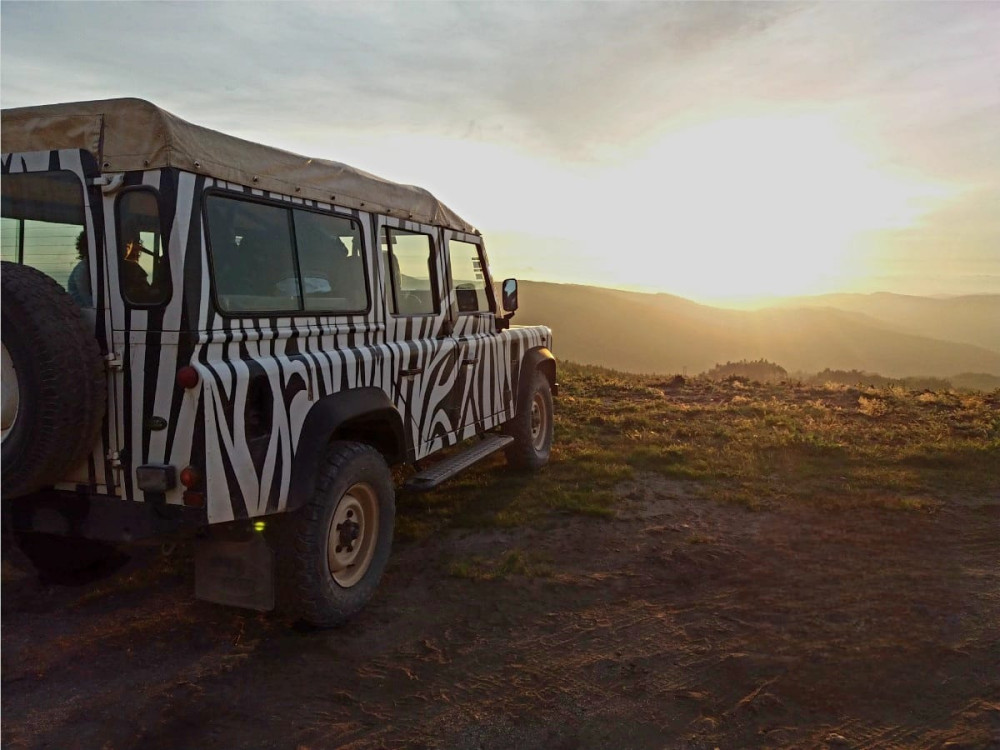Sintra Zebra Sunset Jeep Safari with Sparkling Wine & Gourmet Treats