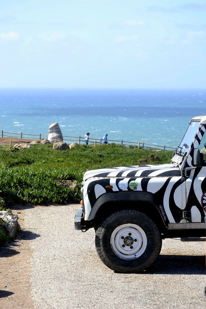 Sintra Private Zebra Safari