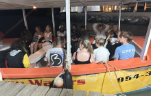 Ellis Tours & Transfers Jamaica8