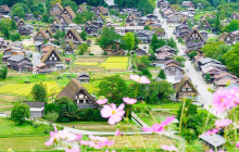 Tuyi Group Japan Co., Ltd.2