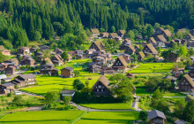 Tuyi Group Japan Co., Ltd.3