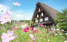 Tuyi Group Japan Co., Ltd.4