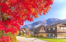 Tuyi Group Japan Co., Ltd.6