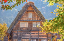 Tuyi Group Japan Co., Ltd.9