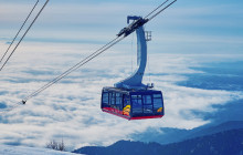 Tuyi Group Japan Co., Ltd.2