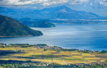 Tuyi Group Japan Co., Ltd.6