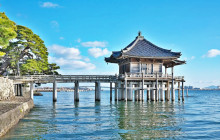 Tuyi Group Japan Co., Ltd.8