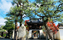 Tuyi Group Japan Co., Ltd.9